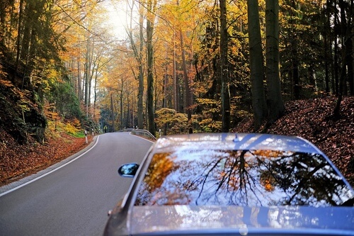 Your Roadmap for Proper Fall Car Care with Collinsville Auto Repair in Canton, CT; image of car driving in the woods during autumn with sun creeping through trees
