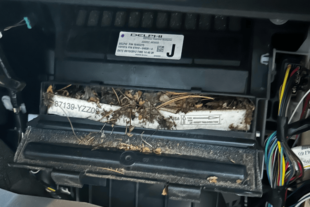 Image showing a dirty, debris-filled cabin air filter removed from a vehicle.
